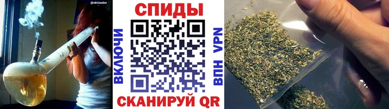 как найти наркотики  Стародуб  Бутират оксана 